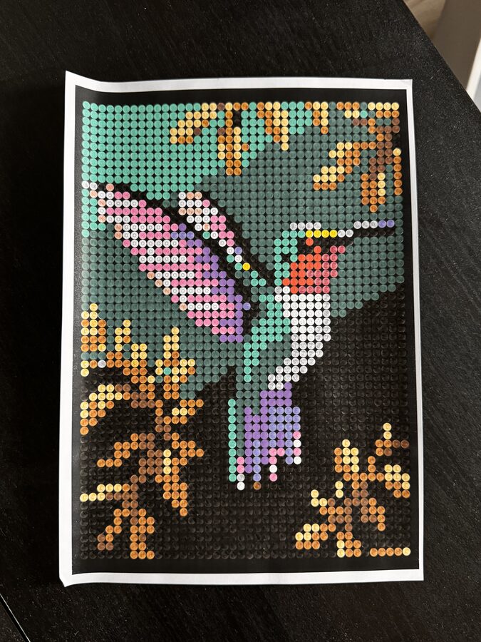 Ingekleurde versie van een kolibrie in NOVI's colour-by-letter formaat — vogel met turquoise en roze veren tussen herfstbladeren