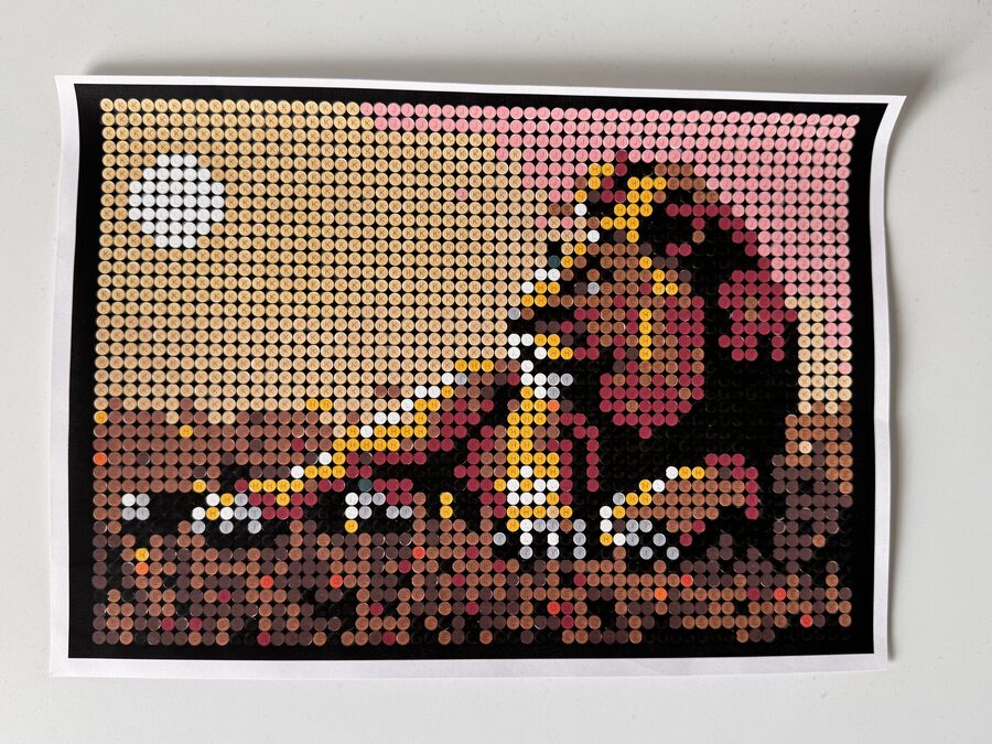 Ingekleurde versie van een leeuw bij zonsondergang in NOVI's colour-by-letter formaat — leeuw met manen in warm gouden licht tegen roze hemel